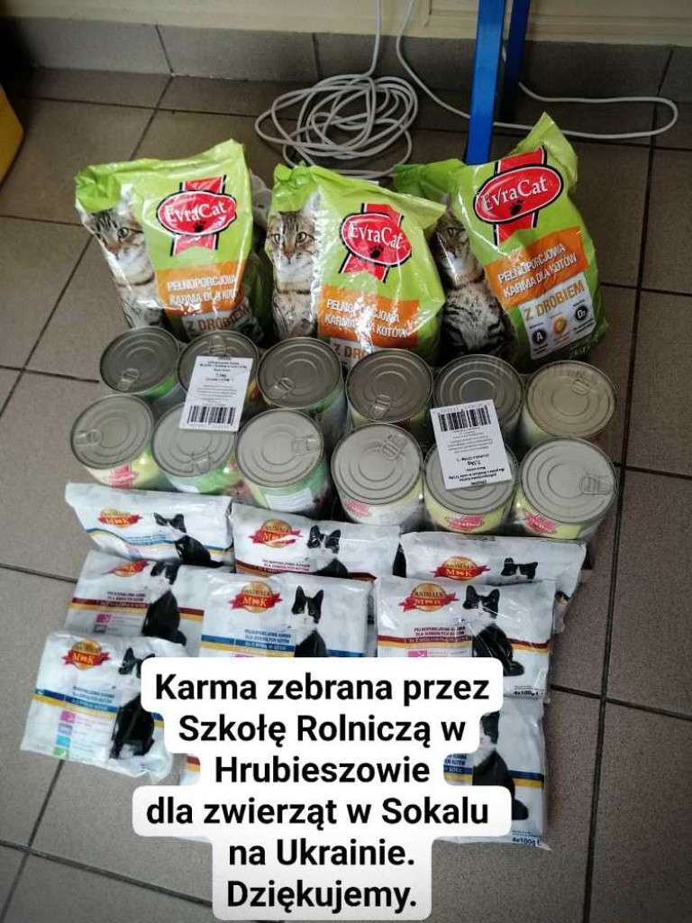 Hrubieszów: Pomoc dla zwierząt w Sokalu [ZDJĘCIA]