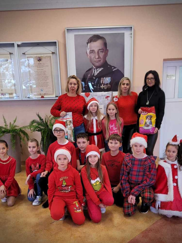 Hrubieszów: Pomoc dla zwierząt w Sokalu [ZDJĘCIA]