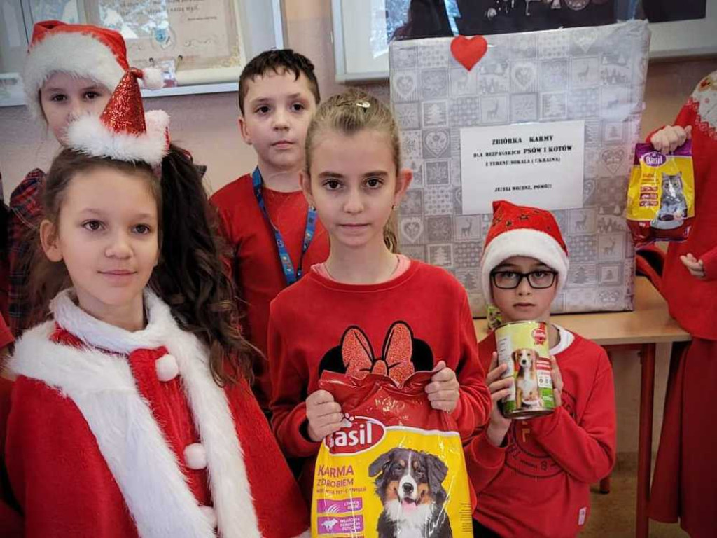Hrubieszów: Pomoc dla zwierząt w Sokalu [ZDJĘCIA]
