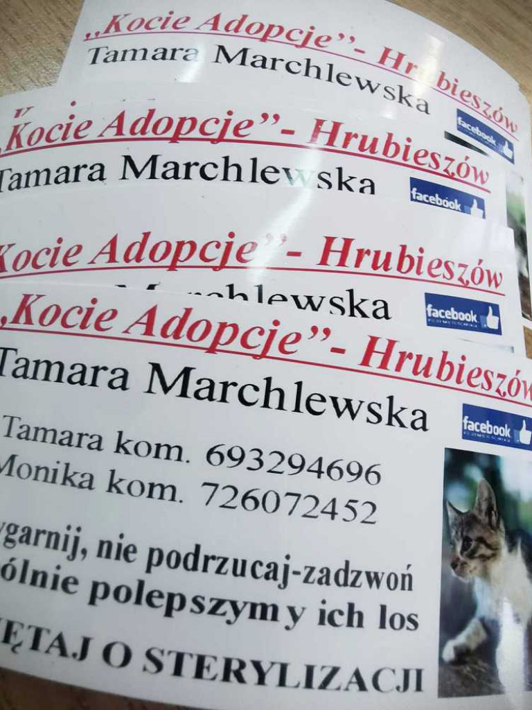 Hrubieszów: Pełna miska dla schroniska [ZDJĘCIA]