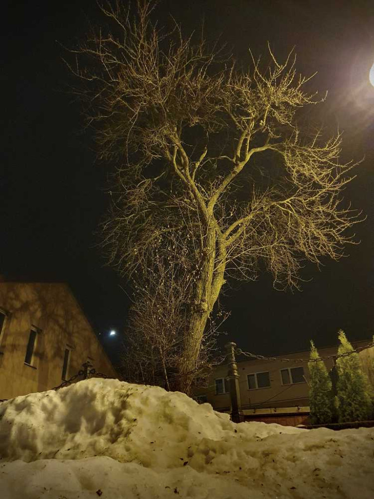 Gdzieś w Hrubieszowie... 20.12.2023 [ZDJĘCIA]