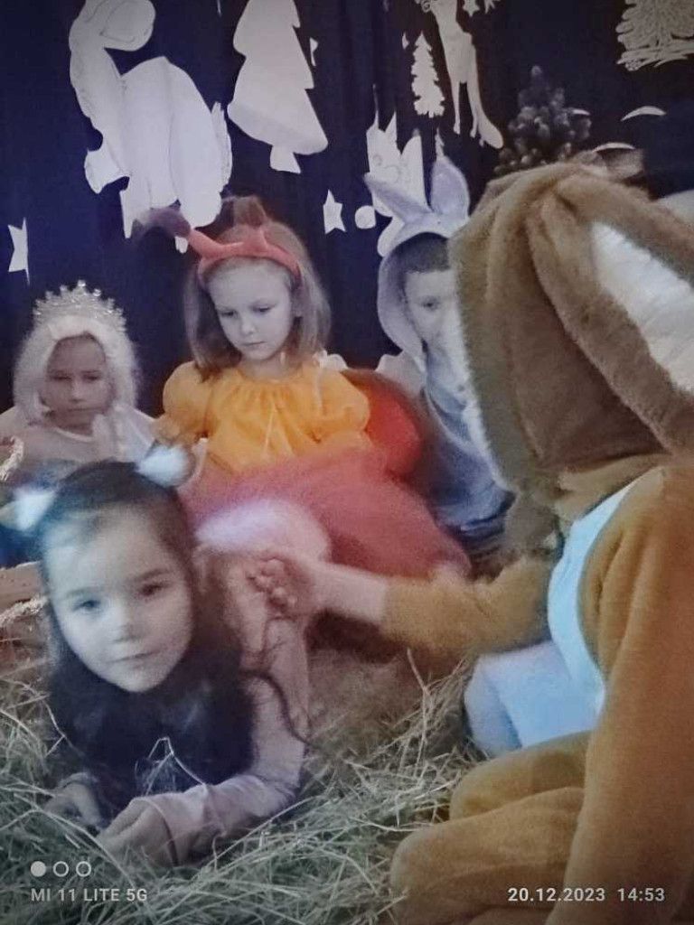 Hrubieszów: Jak Pani Zima bałwanka w lesie zostawiła [ZDJĘCIA]