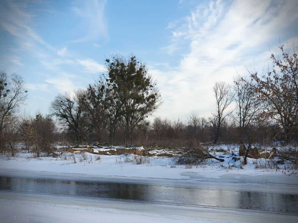 Gdzieś w Hrubieszowie... Pokot drzew nad Huczwą [ZDJĘCIA]