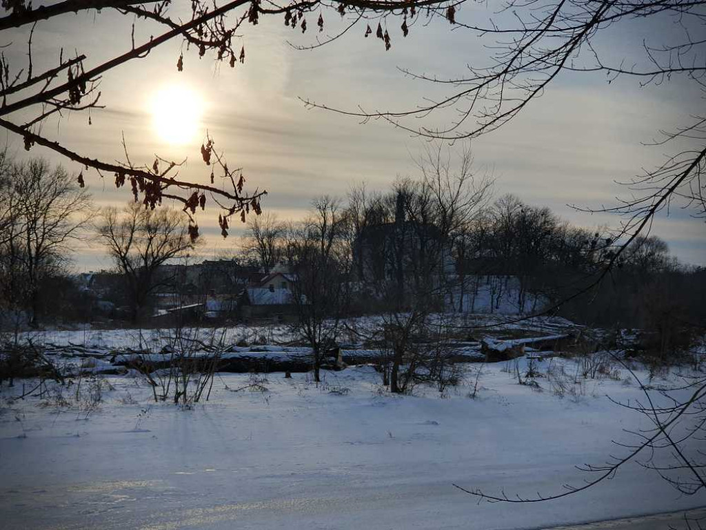 Gdzieś w Hrubieszowie... Pokot drzew nad Huczwą [ZDJĘCIA]