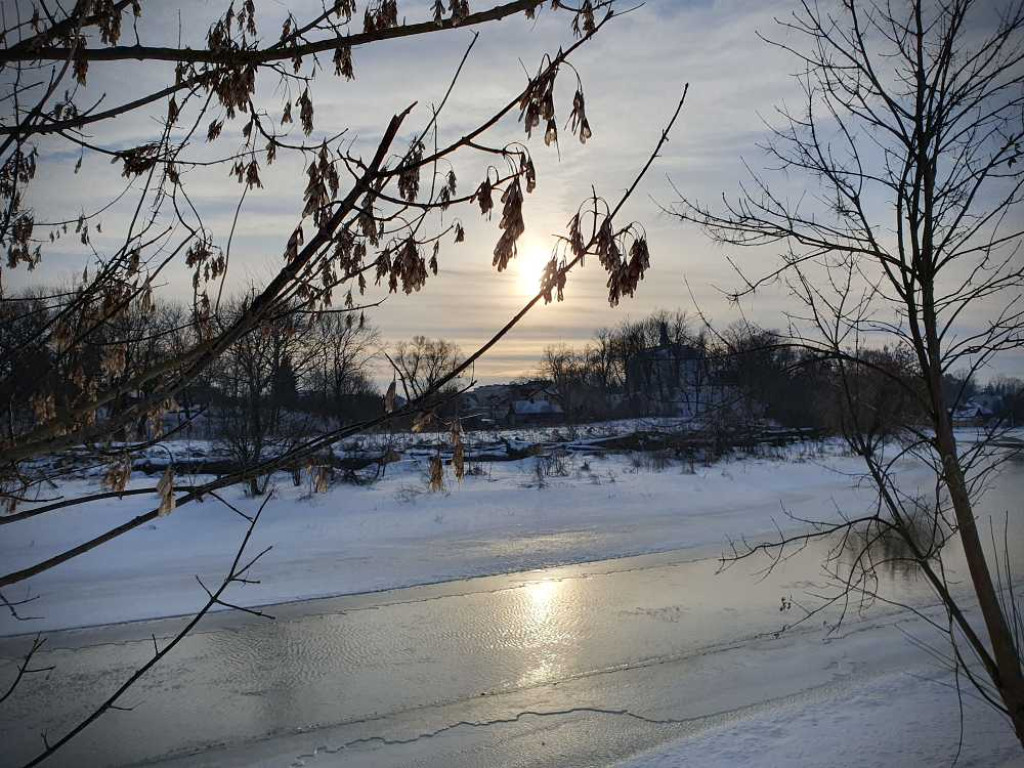Gdzieś w Hrubieszowie... Pokot drzew nad Huczwą [ZDJĘCIA]