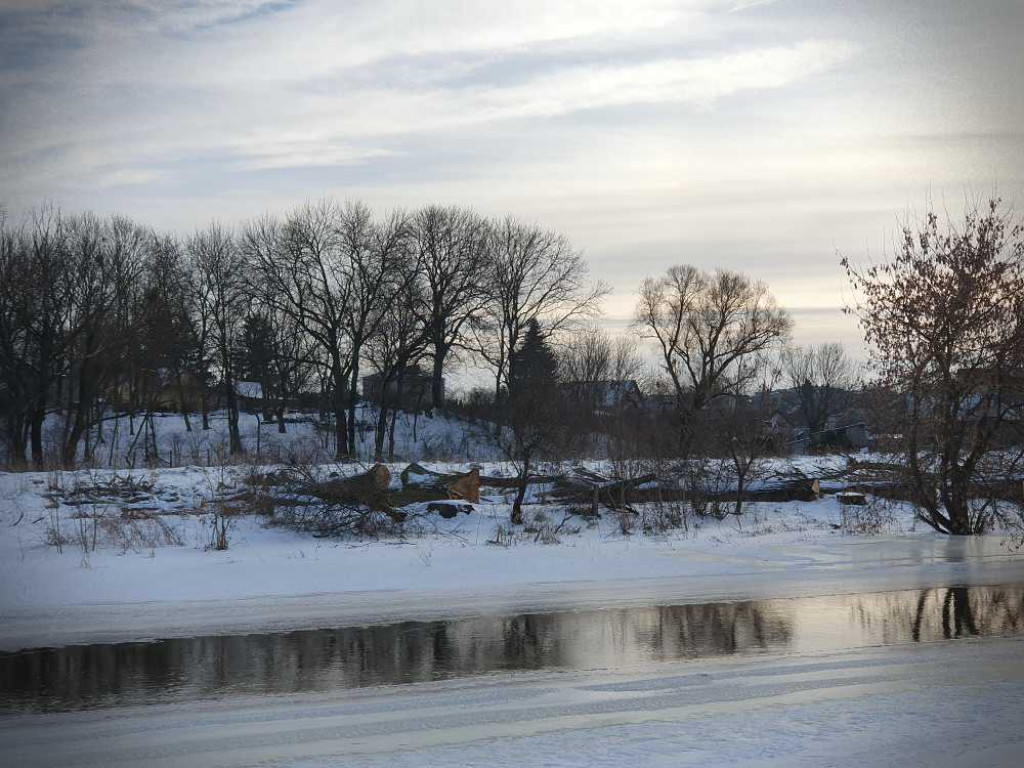 Gdzieś w Hrubieszowie... Pokot drzew nad Huczwą [ZDJĘCIA]