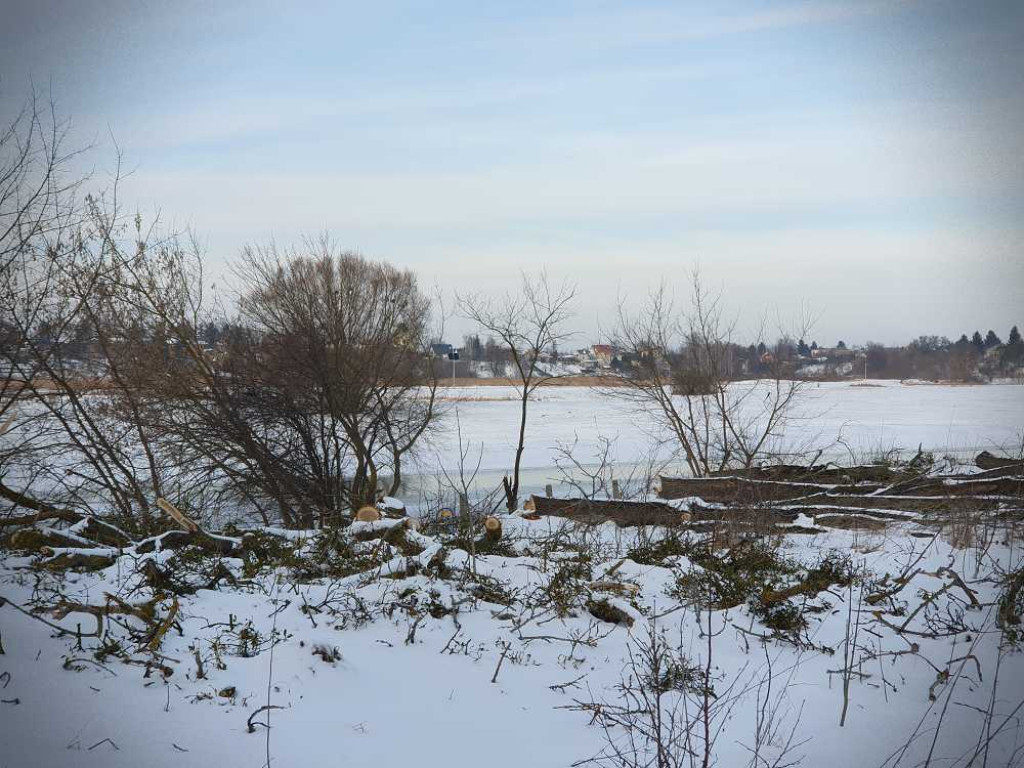 Gdzieś w Hrubieszowie... Pokot drzew nad Huczwą [ZDJĘCIA]