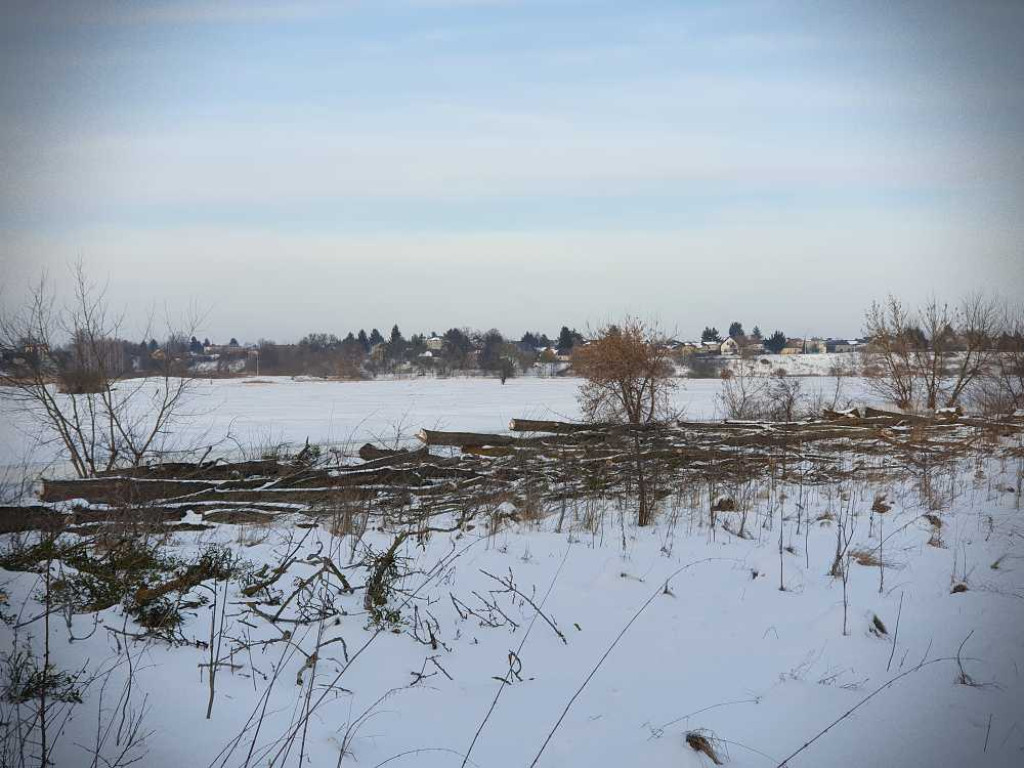 Gdzieś w Hrubieszowie... Pokot drzew nad Huczwą [ZDJĘCIA]