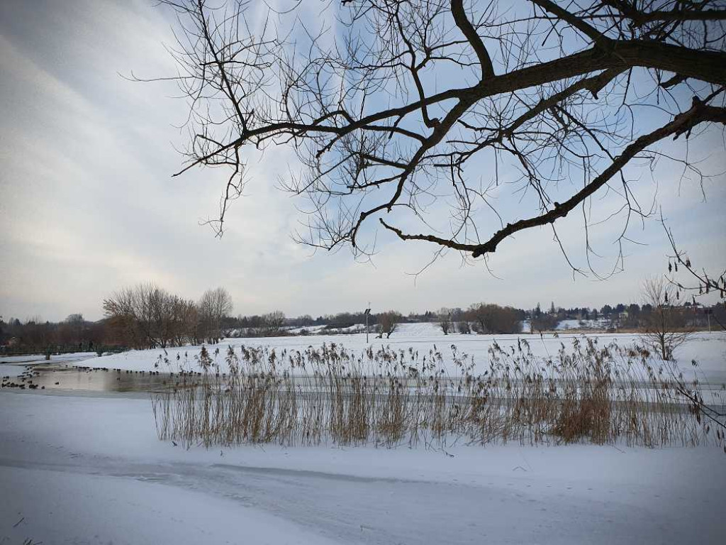 Gdzieś w Hrubieszowie... W okolicach Małego Kościółka [ZDJĘCIA]