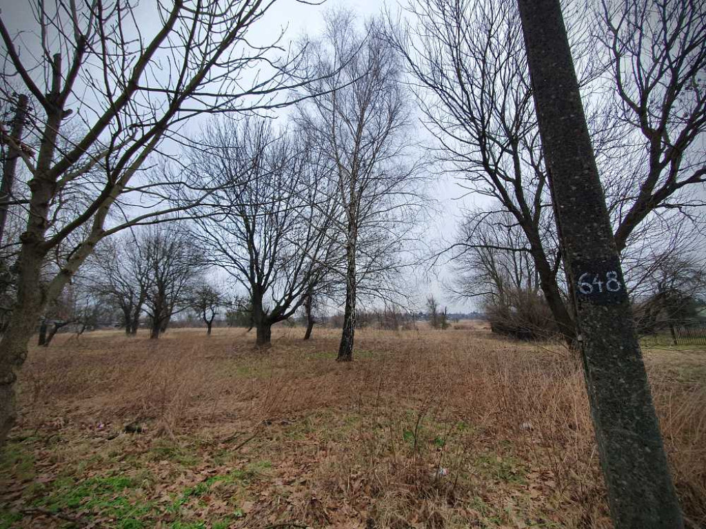 Gdzieś w Hrubieszowie... Kirkut [ZDJĘCIA]