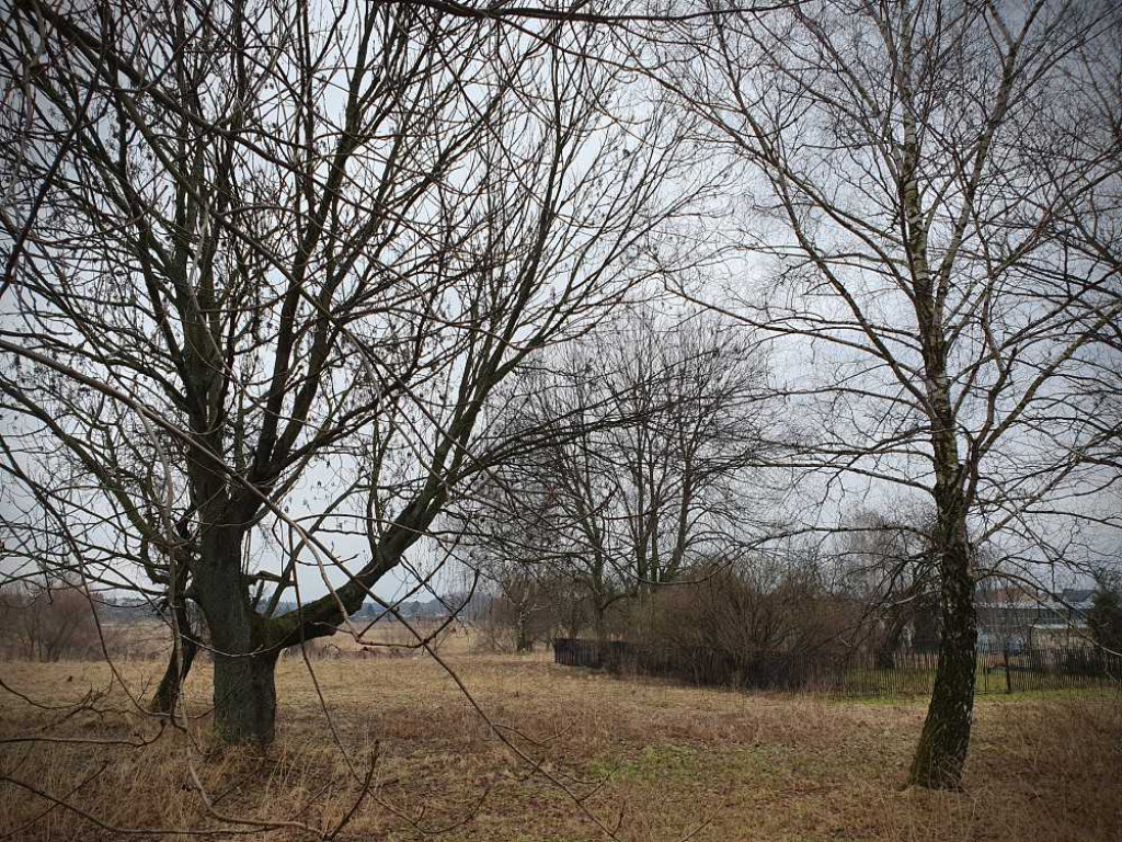 Gdzieś w Hrubieszowie... Kirkut [ZDJĘCIA]