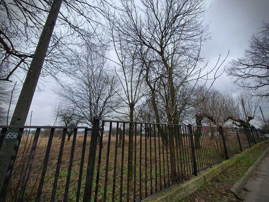 Gdzieś w Hrubieszowie... Kirkut [ZDJĘCIA]