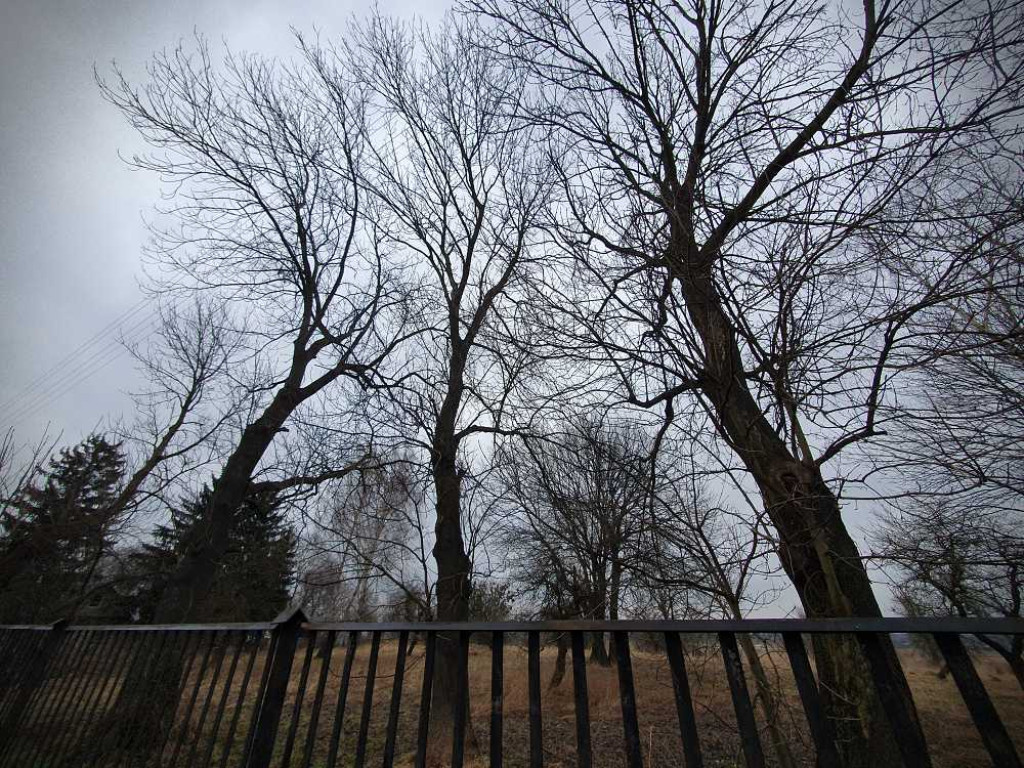 Gdzieś w Hrubieszowie... Kirkut [ZDJĘCIA]