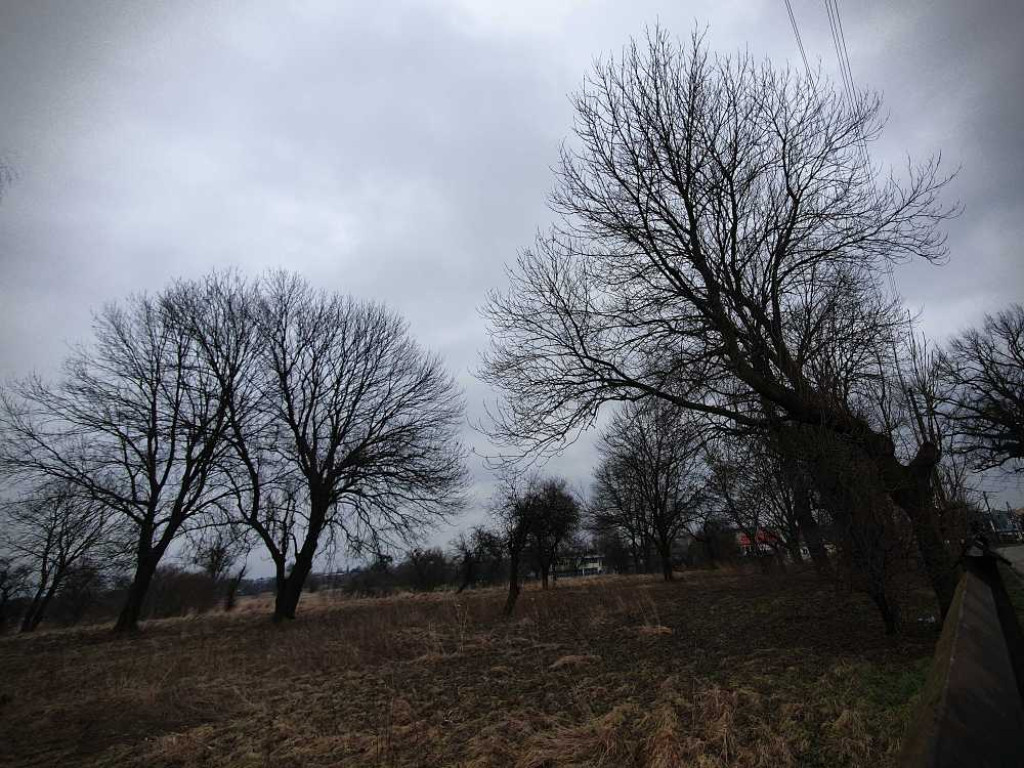 Gdzieś w Hrubieszowie... Kirkut [ZDJĘCIA]
