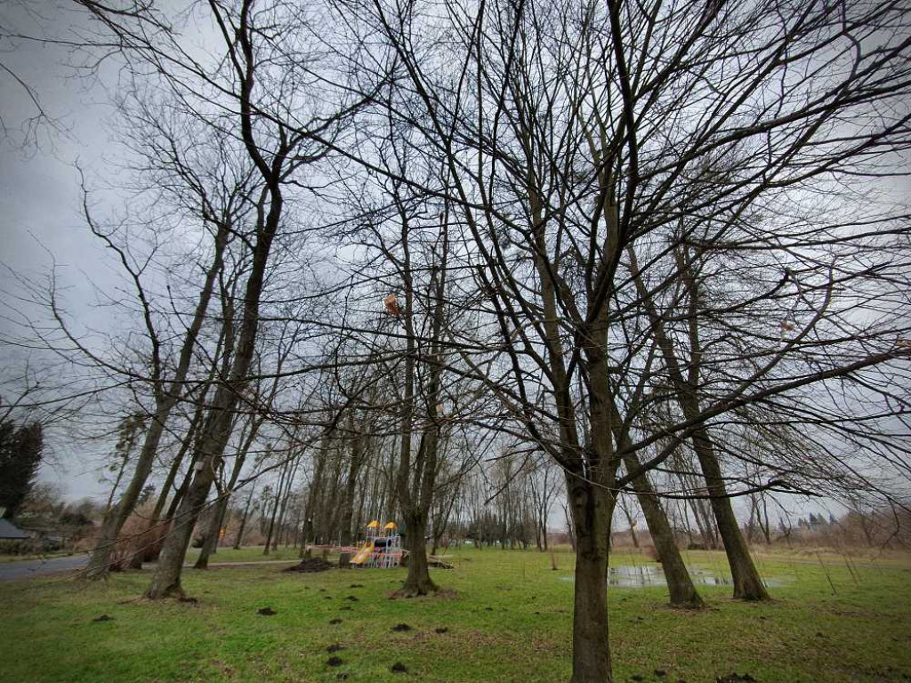 Gdzieś w Hrubieszowie... Małpi Gaj [ZDJĘCIA]
