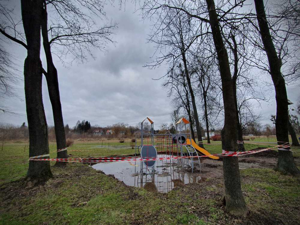 Gdzieś w Hrubieszowie... Małpi Gaj [ZDJĘCIA]