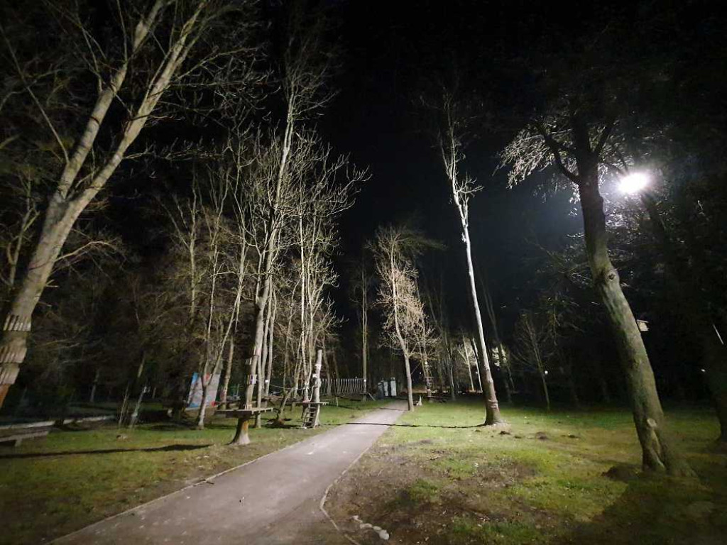 Gdzieś w Hrubieszowie... Małpi Gaj [ZDJĘCIA]