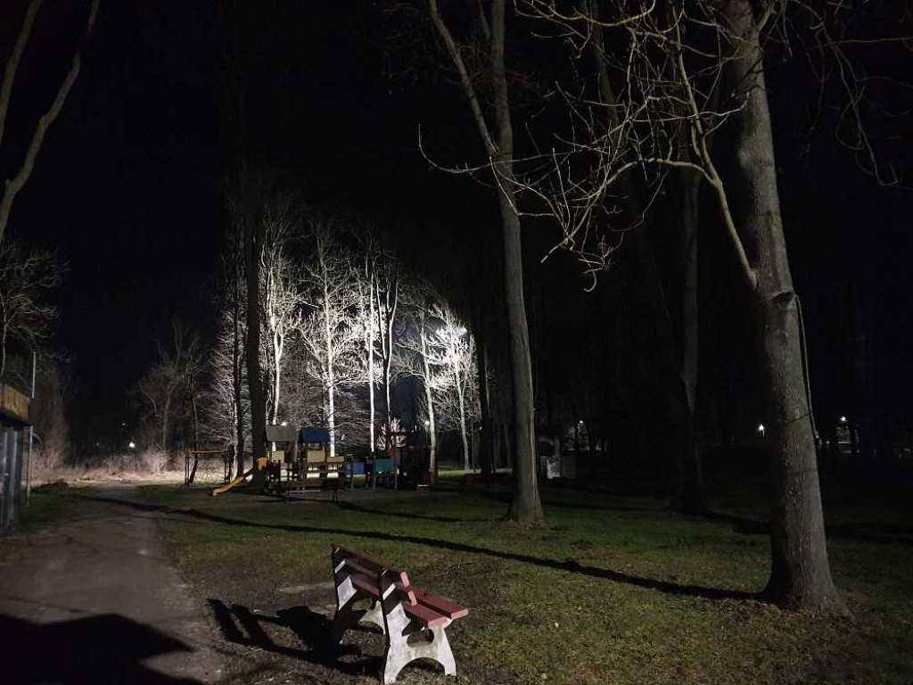 Gdzieś w Hrubieszowie... Małpi Gaj [ZDJĘCIA]