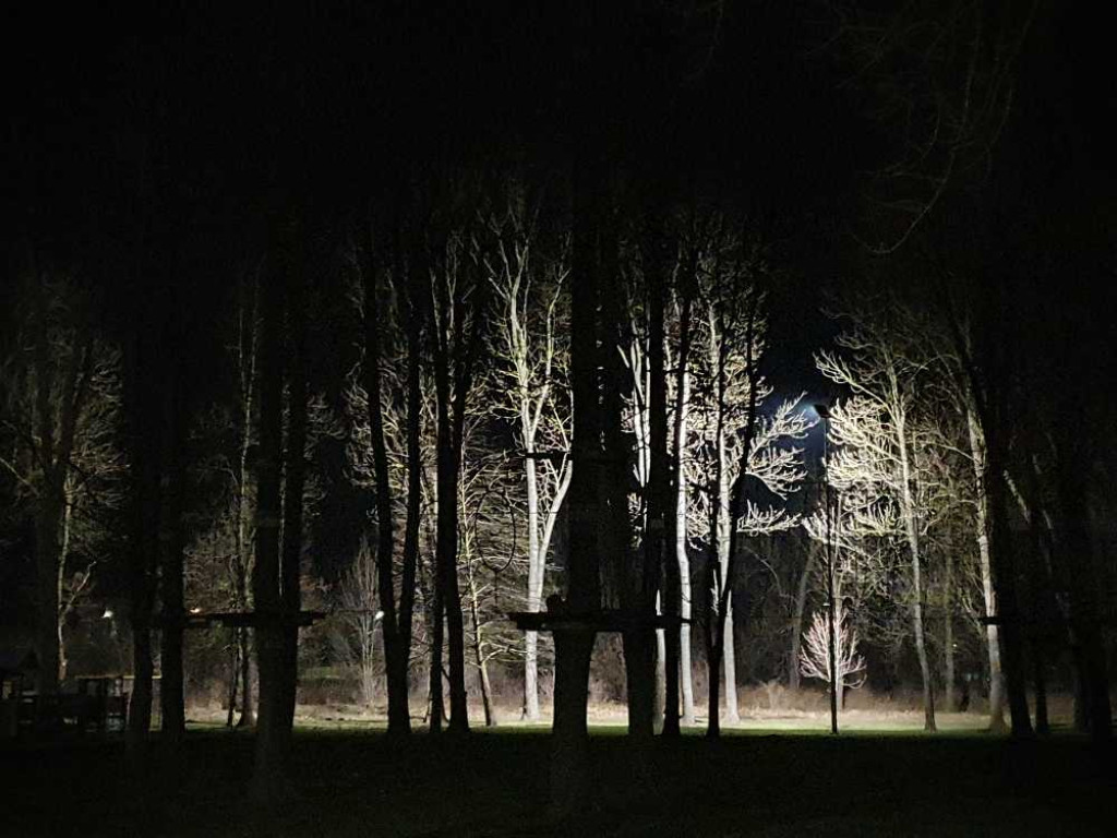Gdzieś w Hrubieszowie... Małpi Gaj [ZDJĘCIA]