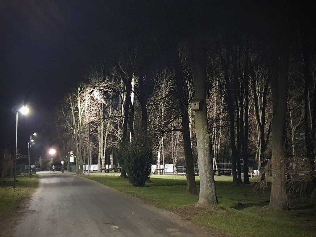 Gdzieś w Hrubieszowie... Małpi Gaj [ZDJĘCIA]