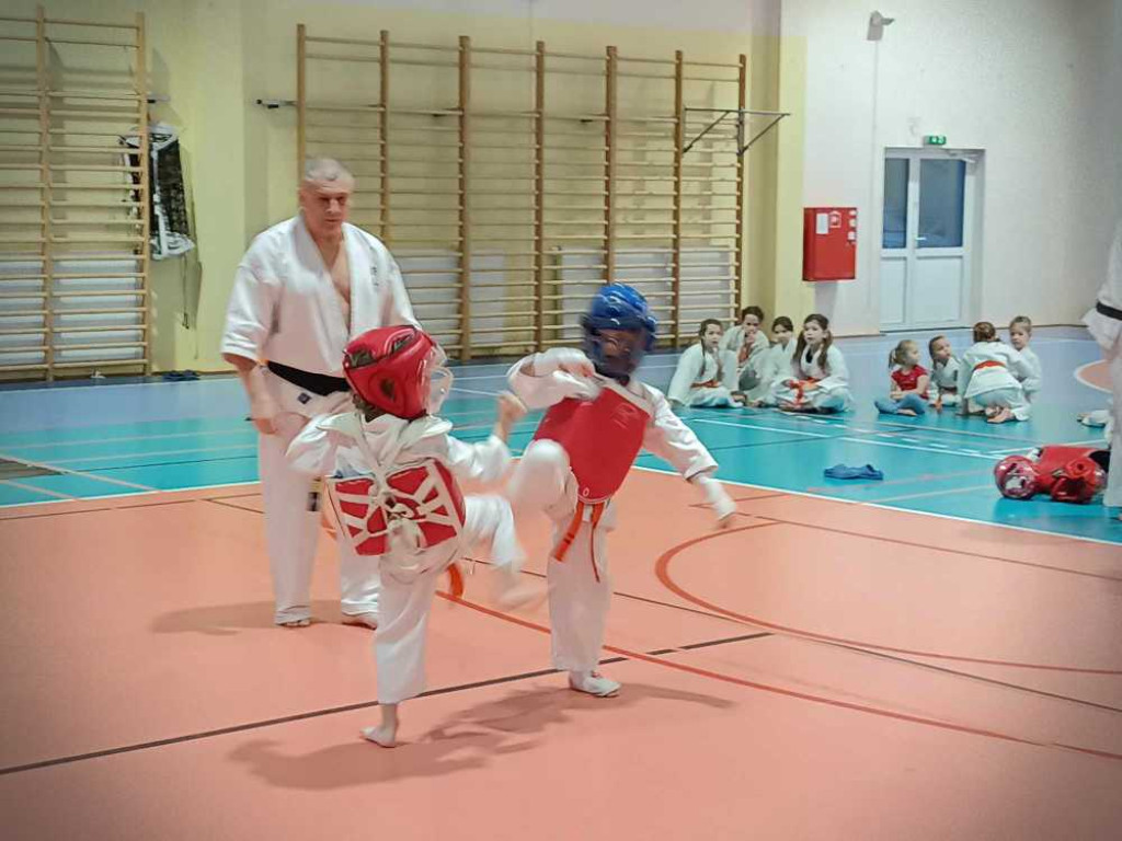 Niektórzy wystartowali po raz pierwszy w życiu! Hrubieszowski turniej karate [ZDJĘCIA]