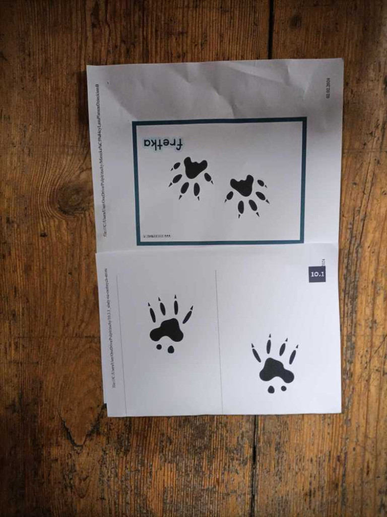 Spotkanie z myśliwymi i... pączki [ZDJĘCIA]