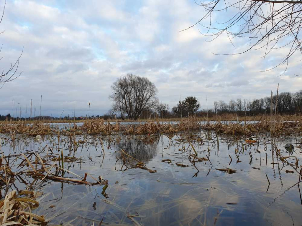 Gdzieś w Hrubieszowie... Łąki [ZDJĘCIA]
