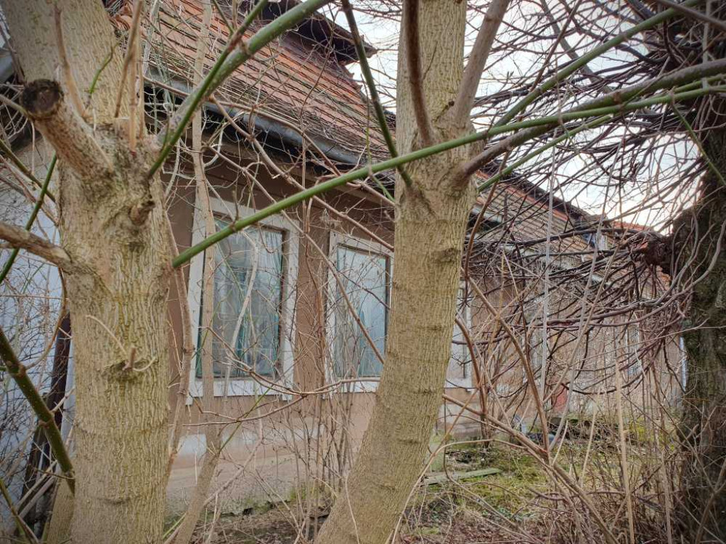 Gdzieś w Hrubieszowie... Wąskotorówka [ZDJĘCIA]