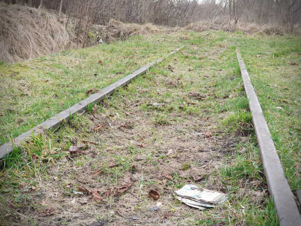 Gdzieś w Hrubieszowie... Wąskotorówka [ZDJĘCIA]