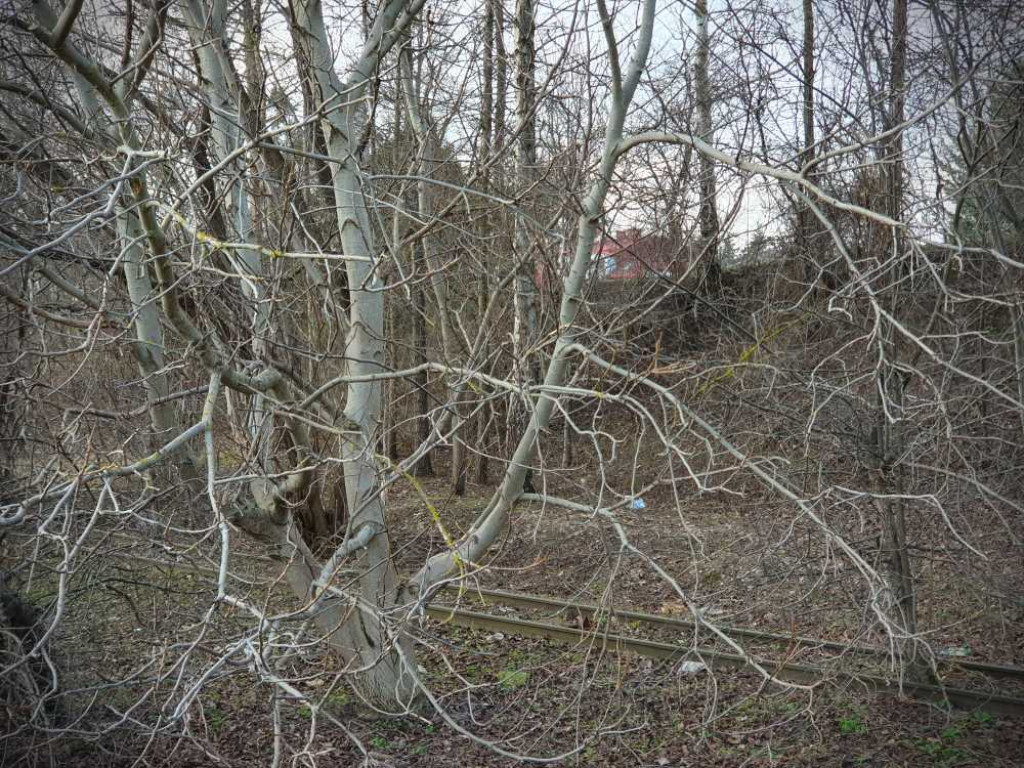 Gdzieś w Hrubieszowie... Wąskotorówka [ZDJĘCIA]