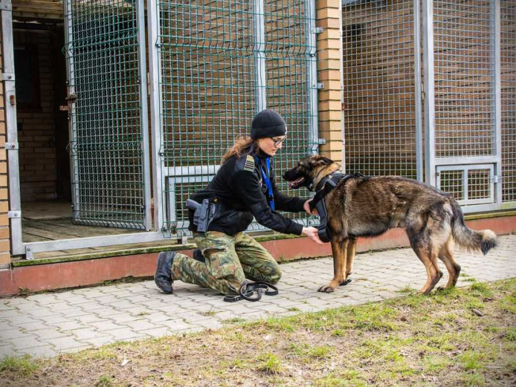 Przewodniczki psów służbowych w NOSG [ZDJĘCIA, WIDEO]