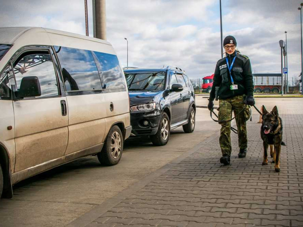 Przewodniczki psów służbowych w NOSG [ZDJĘCIA, WIDEO]