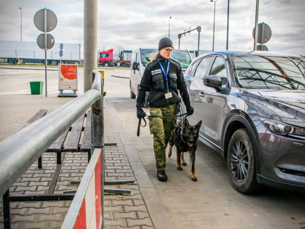 Przewodniczki psów służbowych w NOSG [ZDJĘCIA, WIDEO]