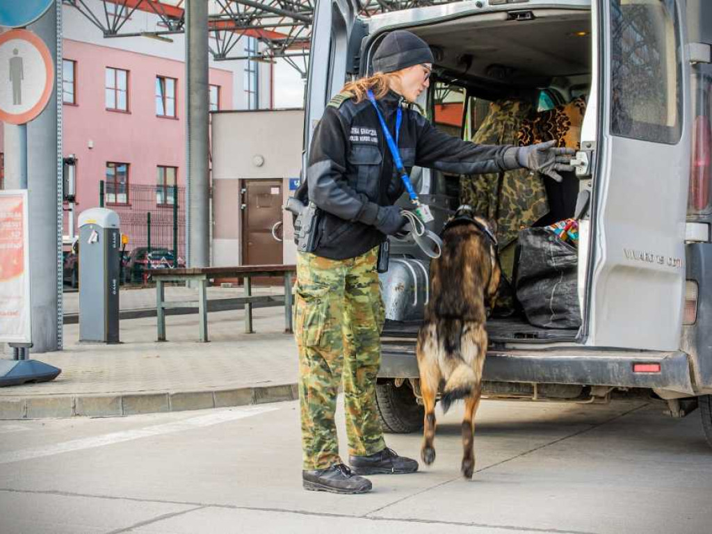 Przewodniczki psów służbowych w NOSG [ZDJĘCIA, WIDEO]