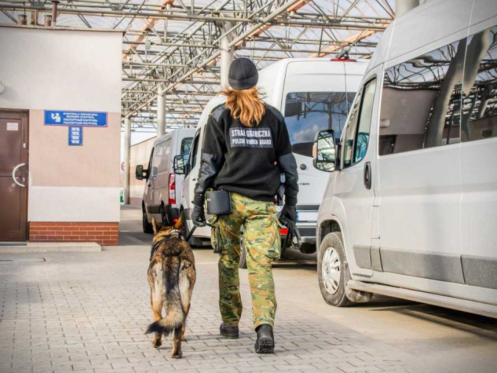 Przewodniczki psów służbowych w NOSG [ZDJĘCIA, WIDEO]