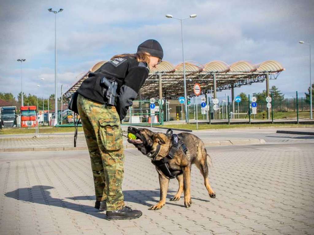 Przewodniczki psów służbowych w NOSG [ZDJĘCIA, WIDEO]
