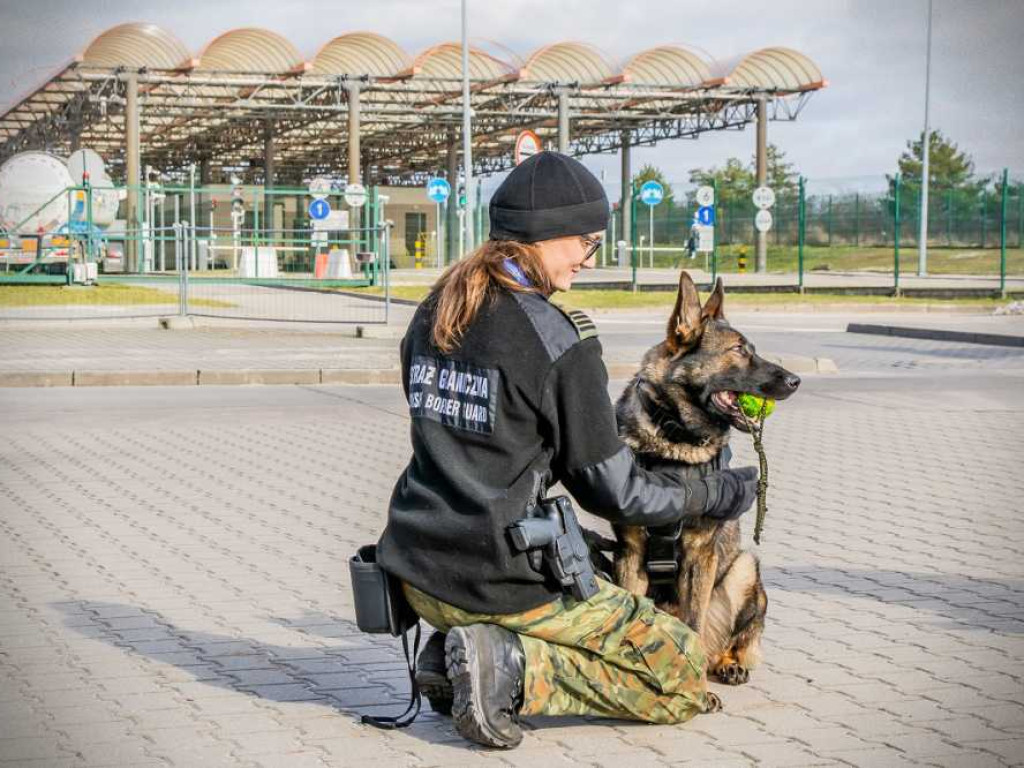 Przewodniczki psów służbowych w NOSG [ZDJĘCIA, WIDEO]