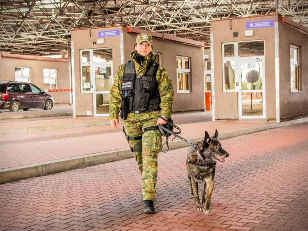 Przewodniczki psów służbowych w NOSG [ZDJĘCIA, WIDEO]