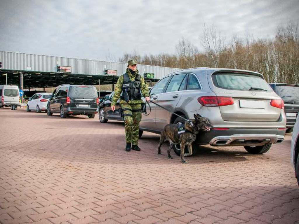 Przewodniczki psów służbowych w NOSG [ZDJĘCIA, WIDEO]