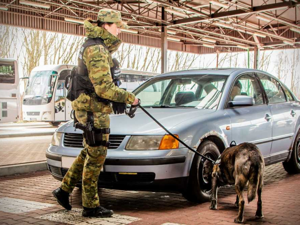 Przewodniczki psów służbowych w NOSG [ZDJĘCIA, WIDEO]