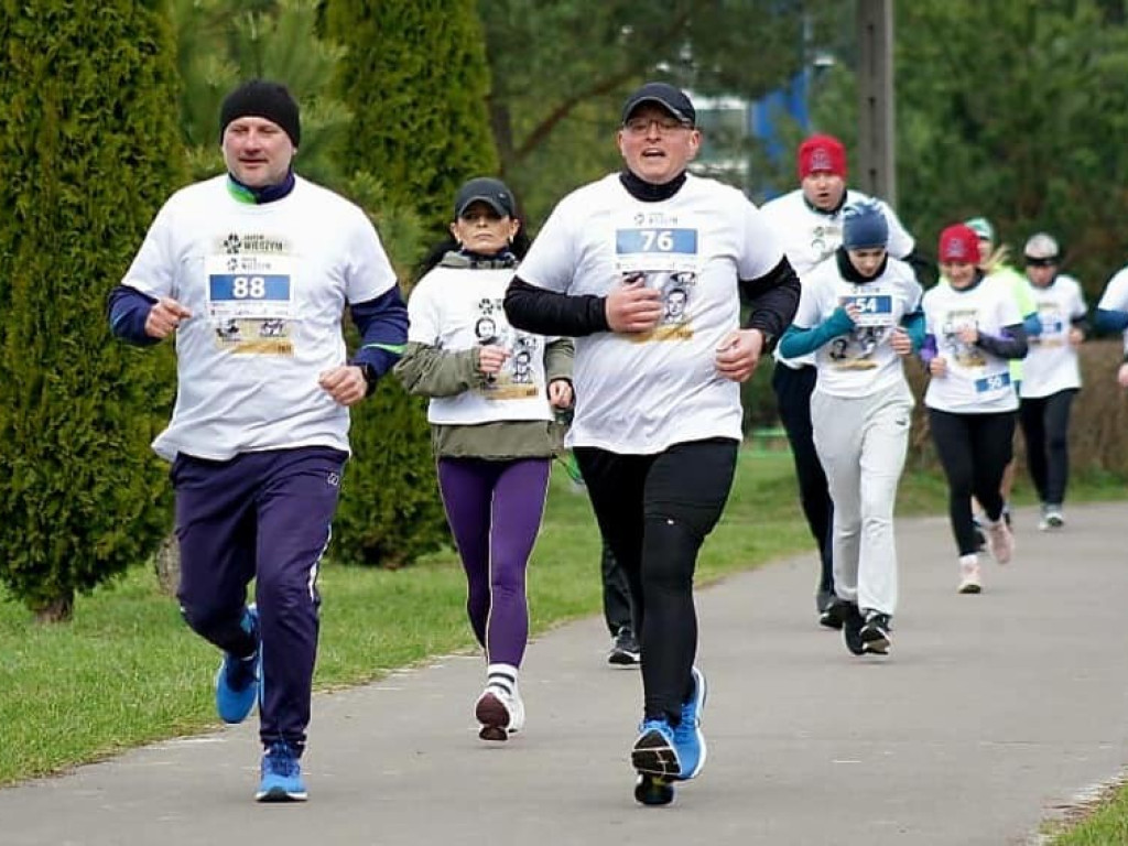 Hrubieszów: Bieg Pamięci Żołnierzy Wyklętych. Tropem Wilczym - wyniki [ZDJĘCIA]