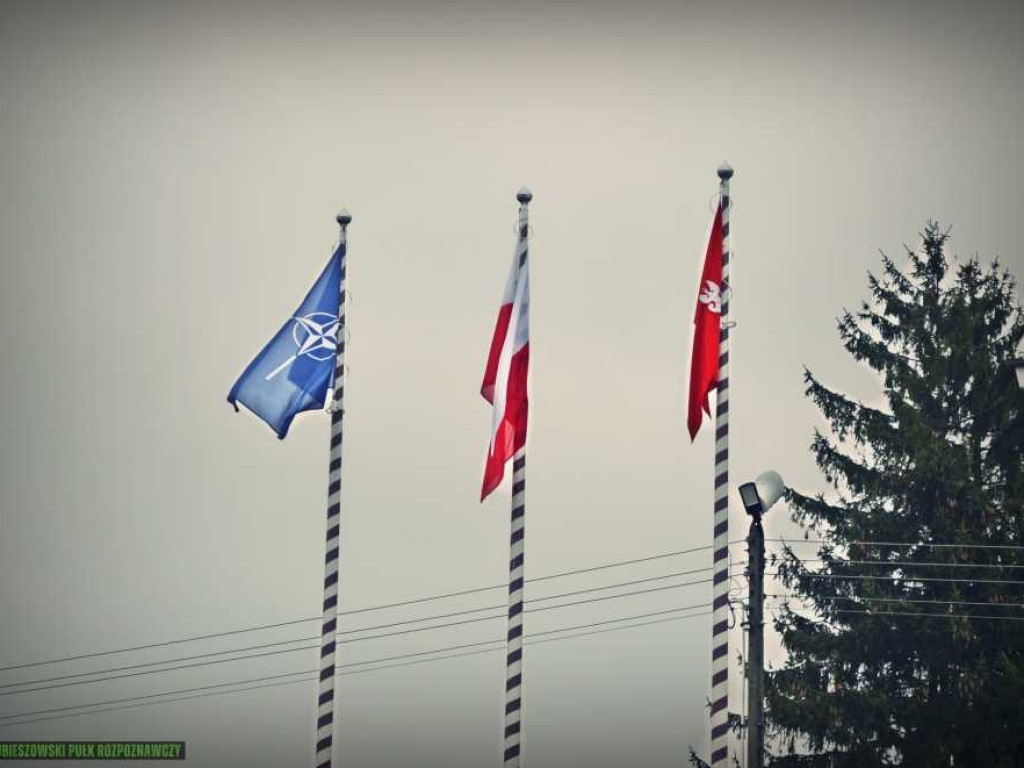 Hrubieszowskie obchody rocznicy wstąpienia do NATO [ZDJĘCIA]