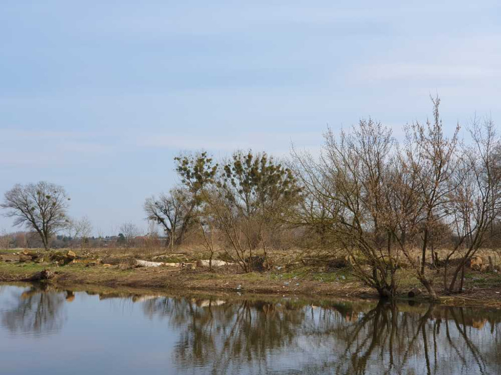 Gdzieś w Hrubieszowie... Śmieci nad Huczwą [ZDJĘCIA]