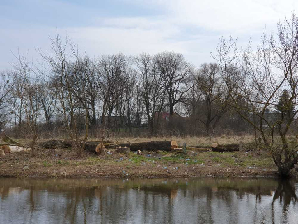 Gdzieś w Hrubieszowie... Śmieci nad Huczwą [ZDJĘCIA]