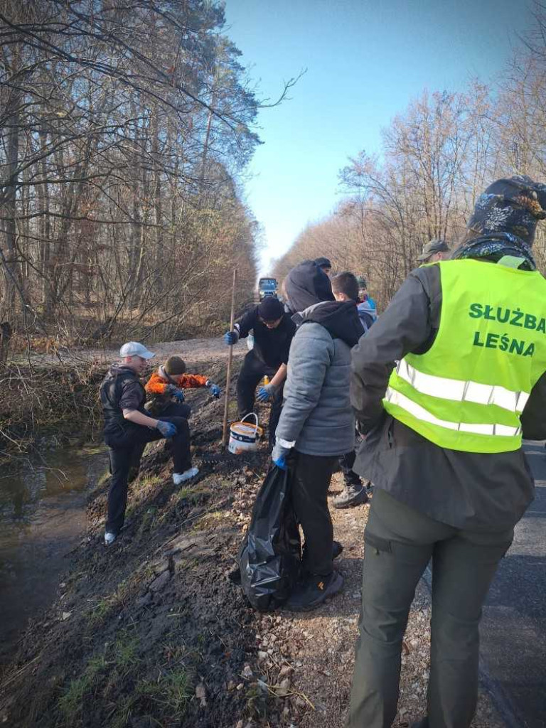 Uczcili wiosnę - sprzątając las! [ZDJĘCIA]