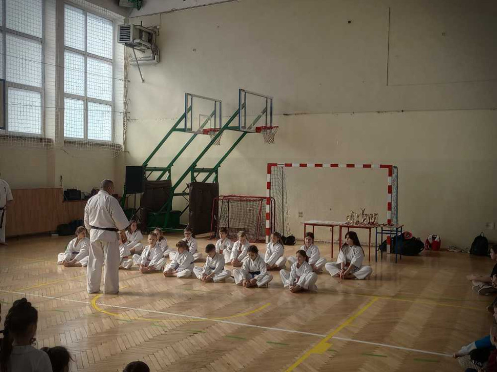 Pokaz karate w hrubieszowskiej Trójce [ZDJĘCIA]