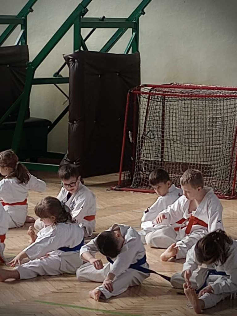 Pokaz karate w hrubieszowskiej Trójce [ZDJĘCIA]