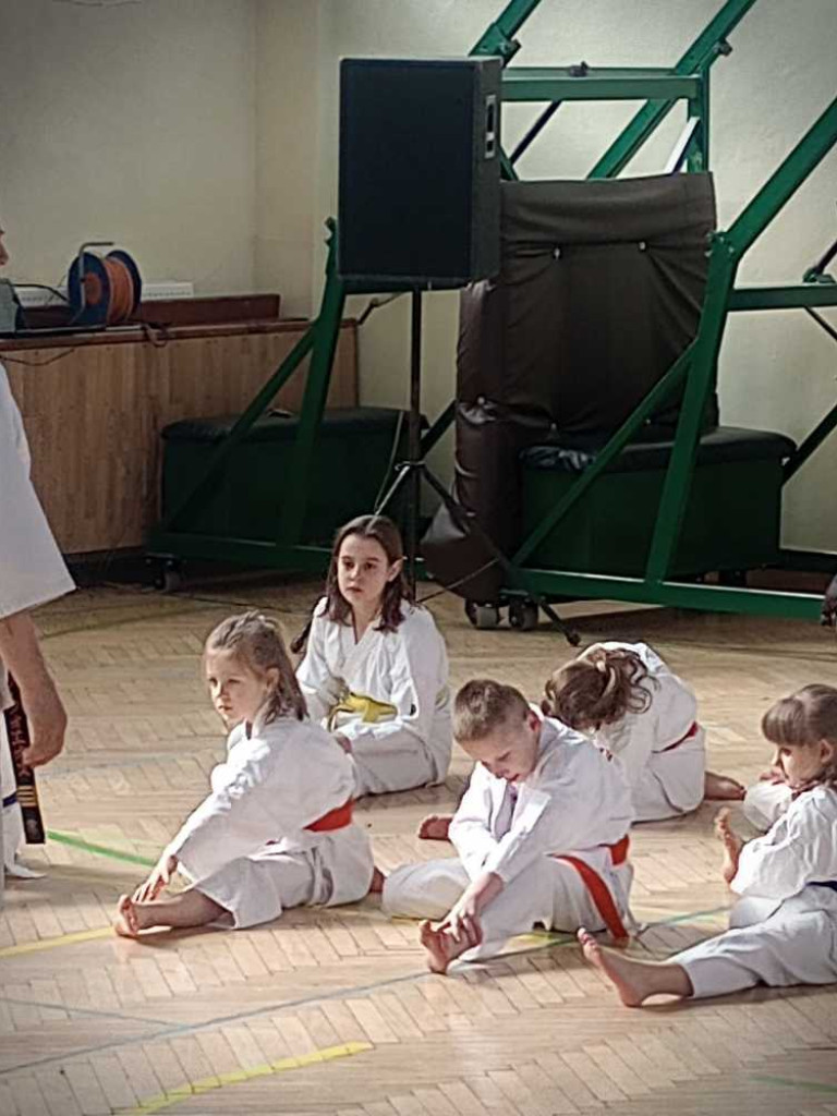 Pokaz karate w hrubieszowskiej Trójce [ZDJĘCIA]