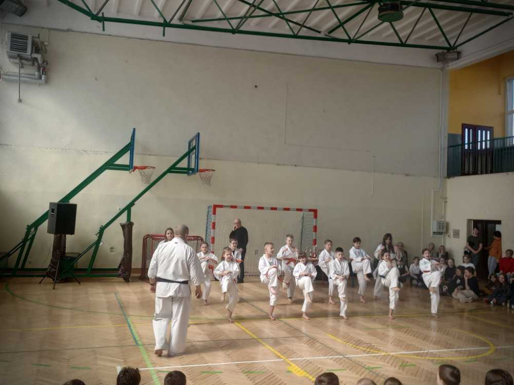 Pokaz karate w hrubieszowskiej Trójce [ZDJĘCIA]