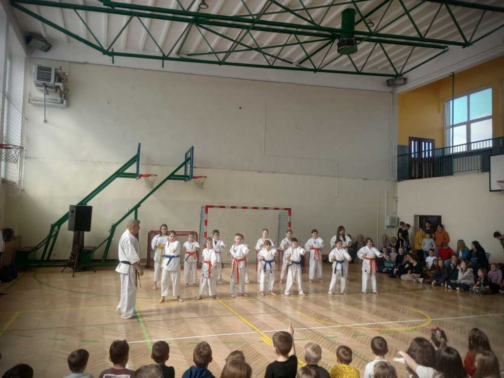 Pokaz karate w hrubieszowskiej Trójce [ZDJĘCIA]